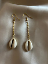 Load image into Gallery viewer, Pearl &amp; Shells
